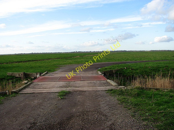 Photo 6"x4" Chedgrave Marshes Fritton\/TG4600 c2008