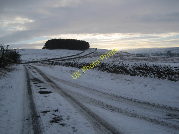 Photo 6"x4" Road towards Allendale Catton\/NY8257 c2010
