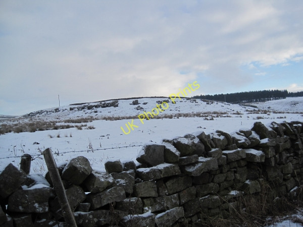 Photo 6"x4" Gaterley Crags Catton\/NY8257 c2010