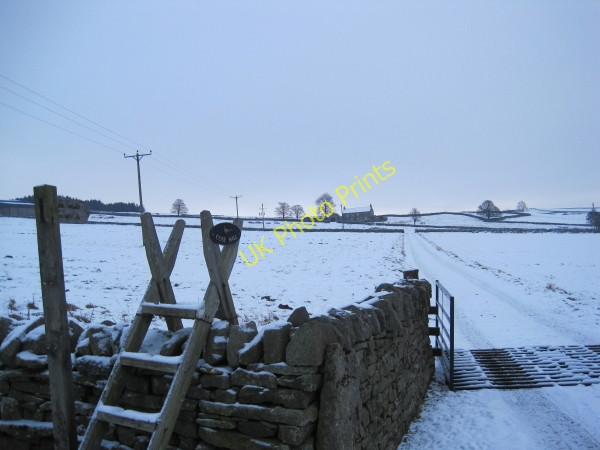Photo 6"x4" Footpath and Track towards Moor House Allendale Town c2010