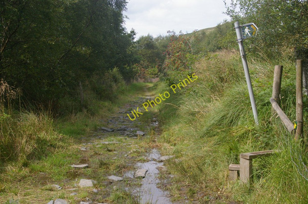Photo 6"x4" Path leaving the track amongst Bryn Eglwys quarries Abergynolwyn c2009
