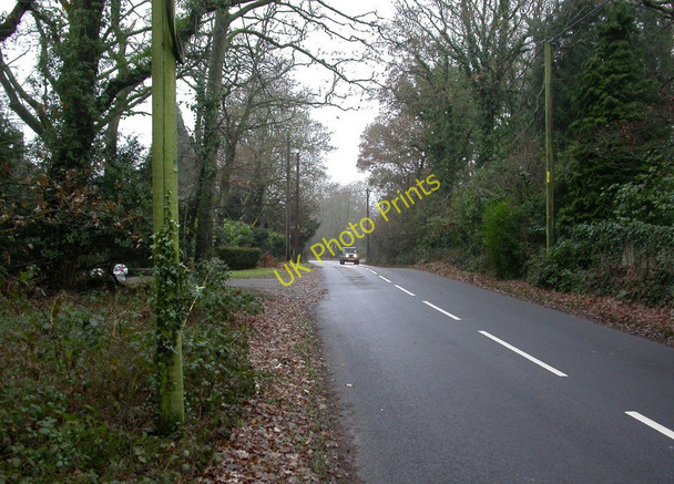 Photo 6"x4" Crow Hill Ringwood\/SU1505 c2010