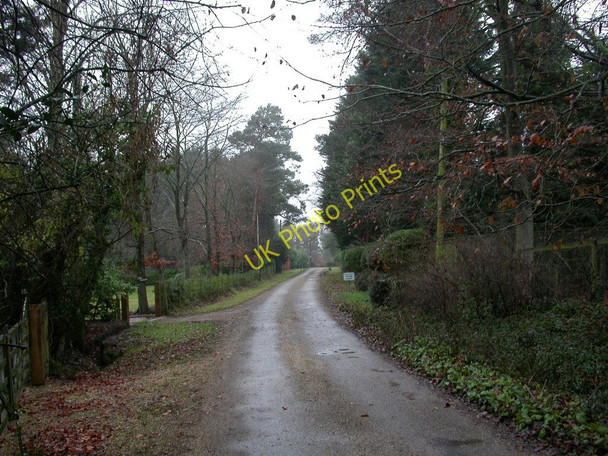 Photo 6"x4" Crow Hill, Woodend Road Ringwood\/SU1505 c2010