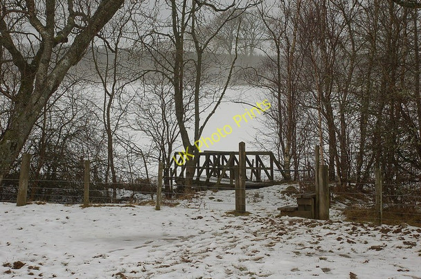Photo 6"x4" Footbridge near Haining Moss Selkirk c2010