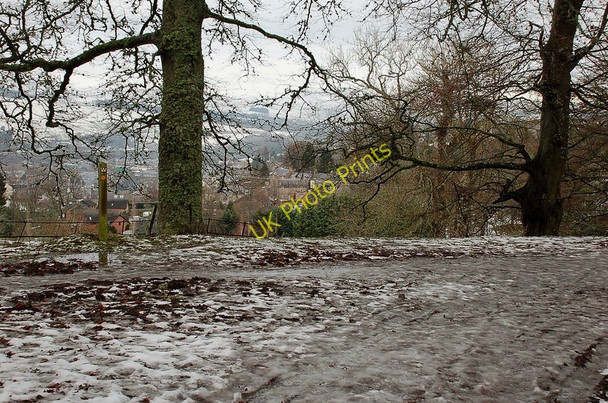 Photo 6"x4" A slippery approach to Selkirk Selkirk c2010