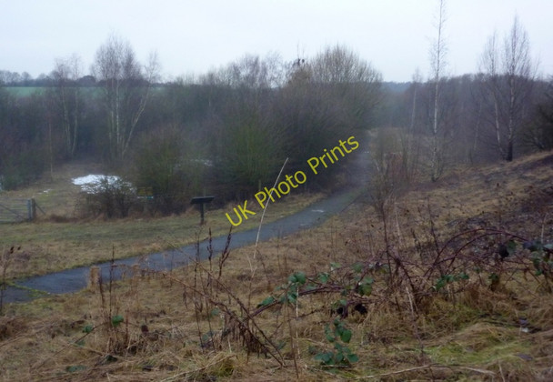 Photo 6"x4" Snipe Bog reserve Bolsover c2010
