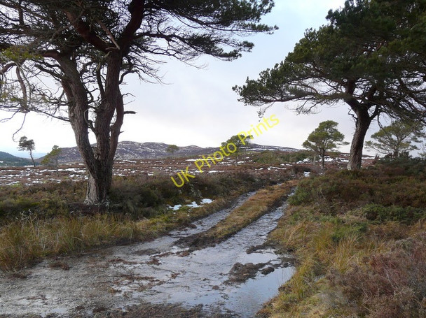 Photo 6"x4" Track at Acharry Muir Ospisdale c2010