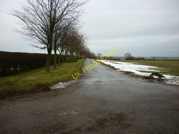 Photo 6"x4" The road to Monckton Walk Farm High Hunsley c2011