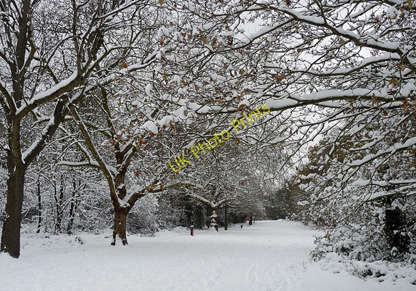 Photo 6"x4" Snowy Streatham Common (5) Streatham c2010
