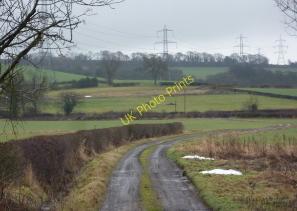 Photo 6"x4" Track to Rylah Rylah c2011