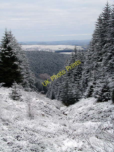Photo 6"x4" Cwm Nant Esgair-wen Llanifyny c2011