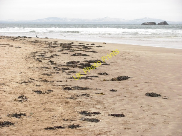 Photo 6"x4" Beach, Yellow Craig Dirleton\/NT5183 c2011
