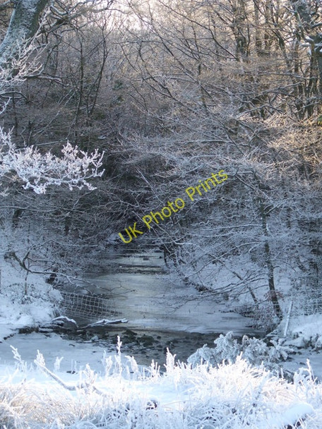 Photo 6"x4" The Daff Burn Inverkip c2010