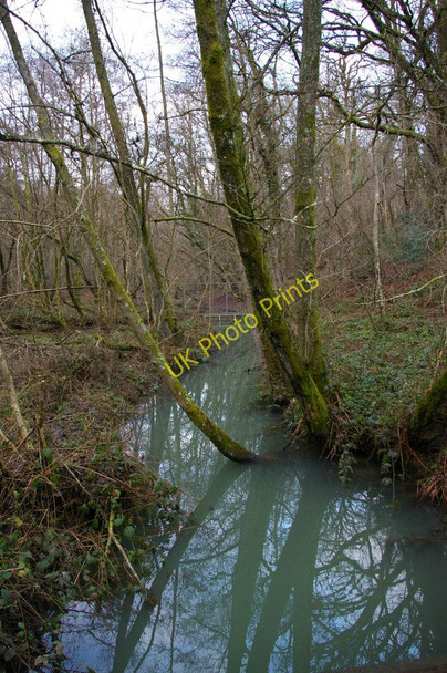 Photo 6"x4" Wakehurst Place: Ardingly Brook flowing towards Westwood Lake West Hill\/TQ3230 c2011