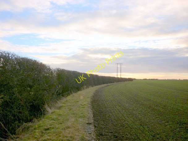 Photo 6"x4" Taking a short cut the reach the footpath Hollym c2011