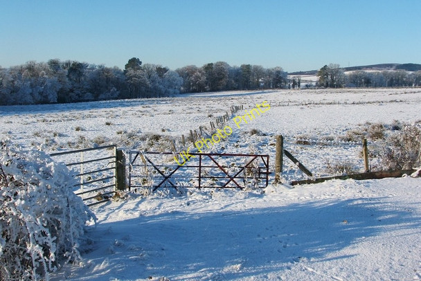 Photo 6"x4" Field near Low Milndovan Cardross\/NS3477 c2010