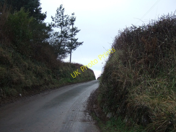 Photo 6"x4" Country lane from Whitemoor Cross to Whitemoor Ford\/SX6150 c2010