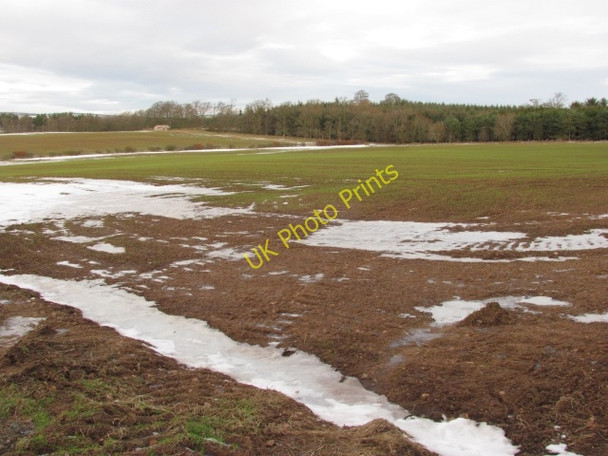 Photo 6"x4" Winter crops, Clerkenville Greenlaw\/NT7146 c2011