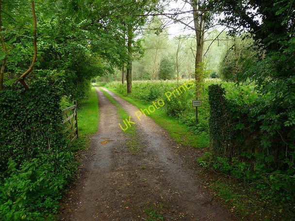 Photo 6"x4" Stockbridge - The Test Way Footpath North Houghton c2010