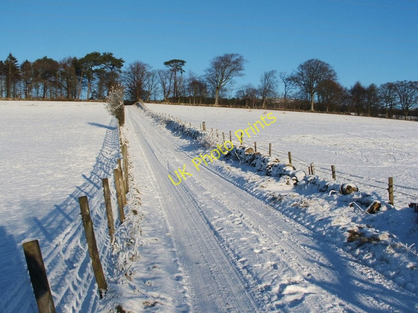 Photo 6"x4" Track to Asker Farm Cardross\/NS3477 c2010