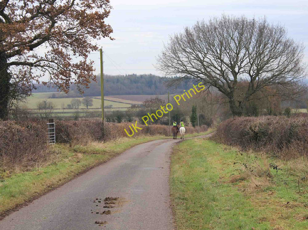 Photo 6"x4" Horses on Canada Lane, Norton Lindsey Littleworth\/SP2363 c2011