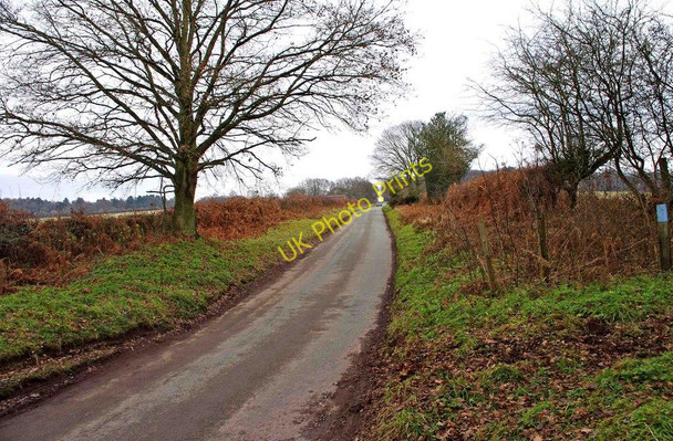 Photo 6"x4" Whitehouse Lane Gospel Ash c2011