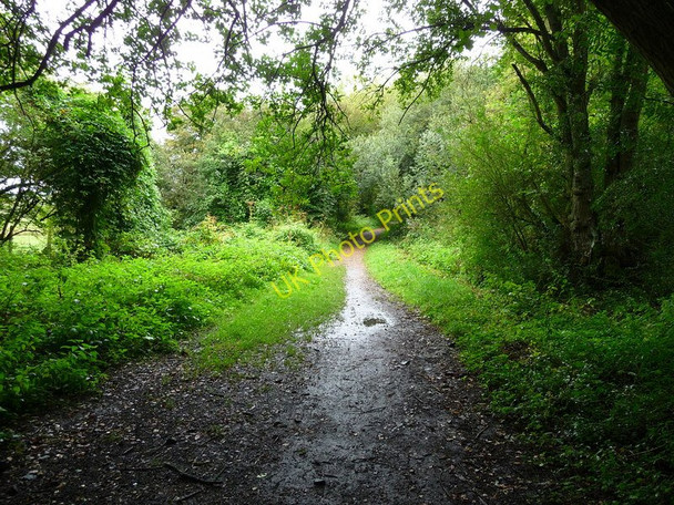 Photo 6"x4" Stockbridge - The Test Way Footpath North Houghton c2010
