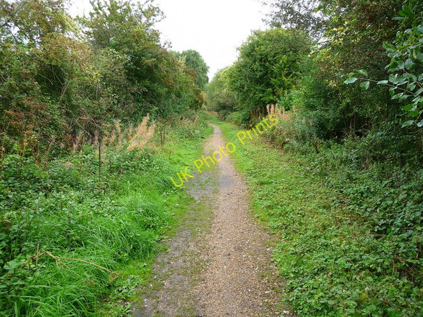 Photo 6"x4" Stockbridge - The Test Way Footpath Stockbridge\/SU3535 c2010 P1