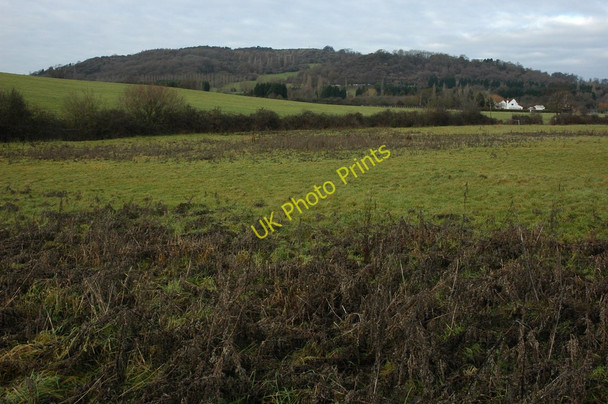 Photo 6"x4" Robins Wood Hill Whaddon\/SO8313 c2011