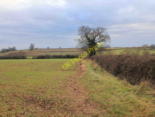 Photo 6"x4" Hedgerow and field off Canada Lane Littleworth\/SP2363 c2011