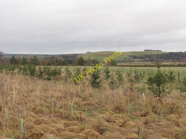Photo 6"x4" A new strip Bogs Bank c2011