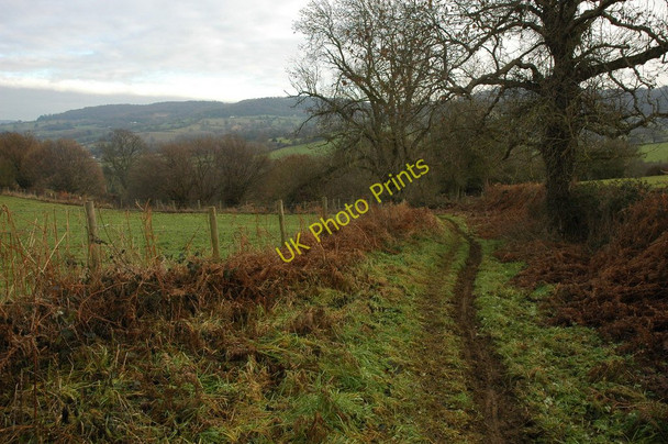 Photo 6"x4" Bridleway to Moorend Moorend\/SO8613 c2011