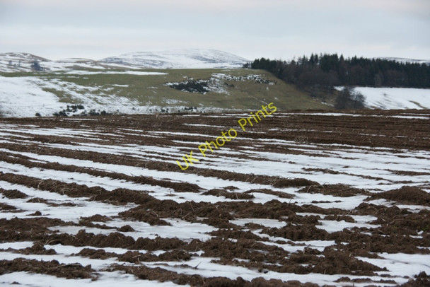 Photo 6"x4" Snow in fields on the Braes of Airlie Airlie\/NO3150 c2011