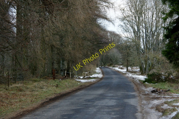 Photo 6"x4" Road on the Kaims of Airlie Kirkton of Kingoldrum c2011