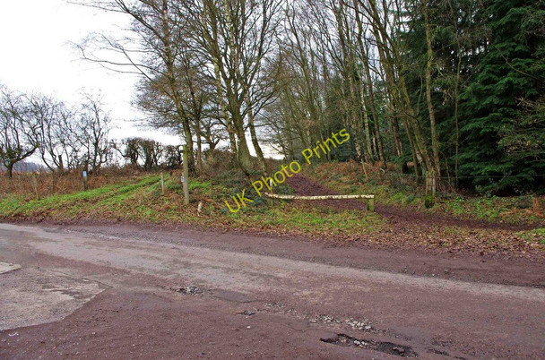 Photo 6"x4" Start of track from Whitehouse Lane Gospel Ash c2011