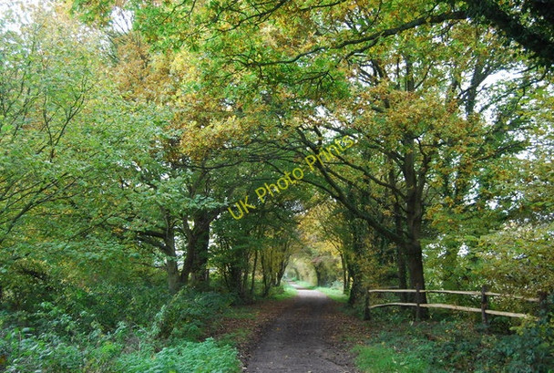 Photo 6"x4" Forest Way Gallypot Street c2010
