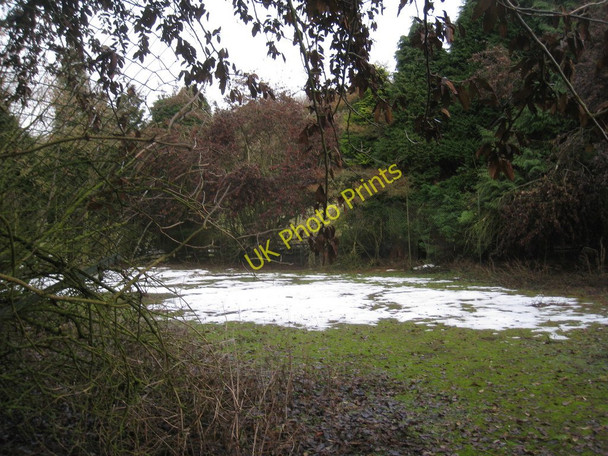 Photo 6"x4" Abandoned tennis court Rothwell\/TF1599 c2011