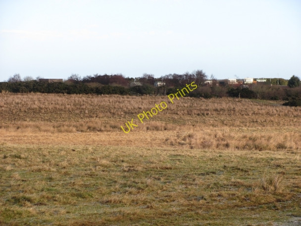 Photo 6"x4" Drone Hill Houndwood c2011