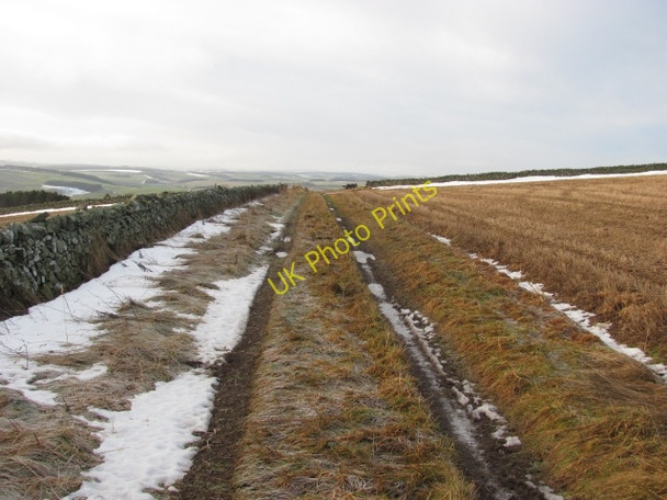 Photo 6"x4" Track on Bell Hill Grantshouse c2011