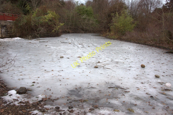 Photo 6"x4" Frozen pond, Royal Botanic Gardens Edinburgh Inverleith c2011