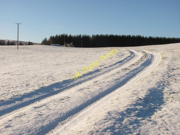Photo 6"x4" Road to Whitelaw Burn Eddleston c2011