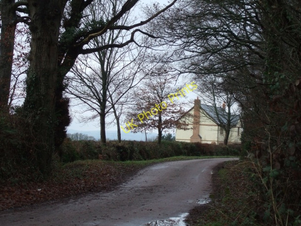 Photo 6"x4" Road to Aller on Kentis Moor Aller\/ST0506 c2011