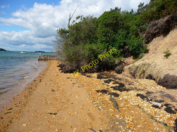 Photo 6"x4" Brownsea Island - Terrier Steps Sandbanks c2010