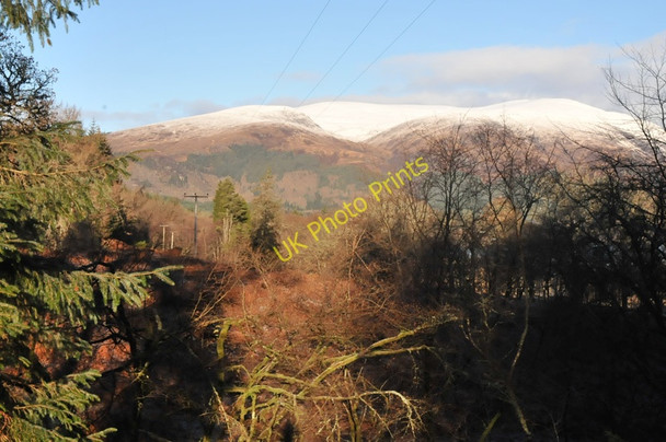 Photo 6"x4" Forestry near Gairlochy Gairlochy\/Ge\u00e0rr Lochaidh c2011