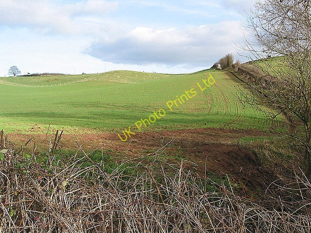 Photo 6"x4" Arable hillside at Oxenhall Oxenhall c2008