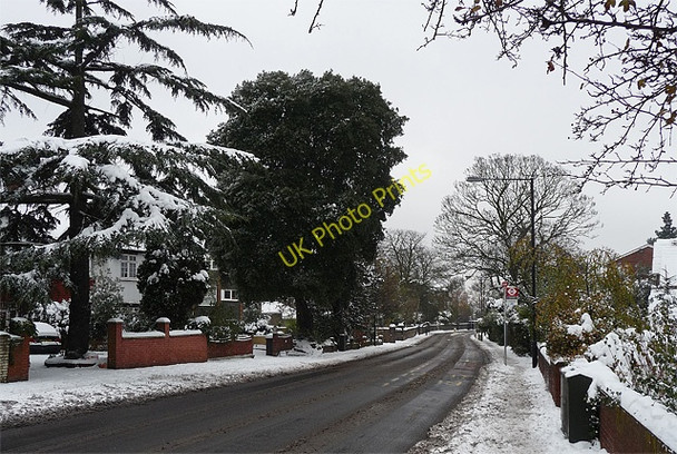 Photo 6"x4" Snow in Leigham Court Road Streatham c2010