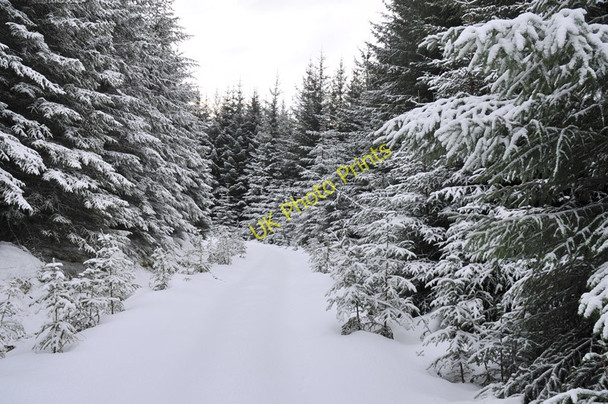 Photo 6"x4" Snow covered forestry road in Rimsdale Forest Sr\u00f2n an Eirreannach c2011