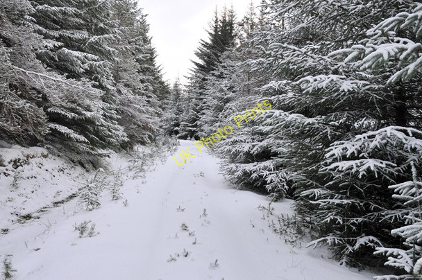 Photo 6"x4" Snow covered forestry road in Rimsdale Forest Sr\u00f2n an Eirreannach c2011 P1