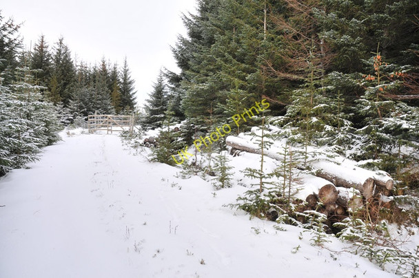 Photo 6"x4" Gated forestry road in Rimsdale Forest Rimsdale Burn\/NC7339 c2011