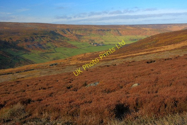 Photo 6"x4" Waites Moor Westerdale\/NZ6605 c2008